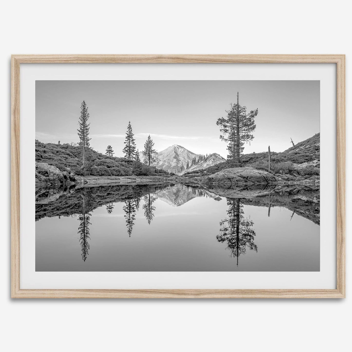 Nature Reflected