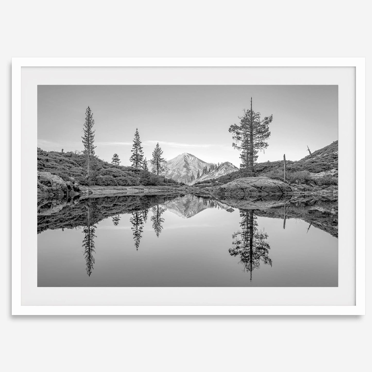 Nature Reflected