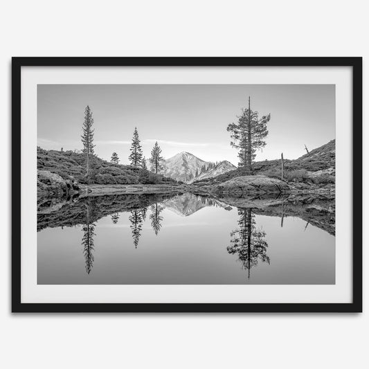Nature Reflected