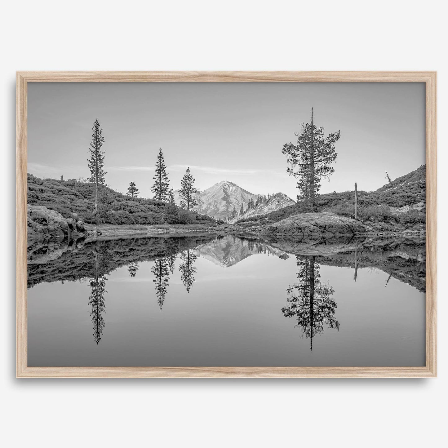 Nature Reflected