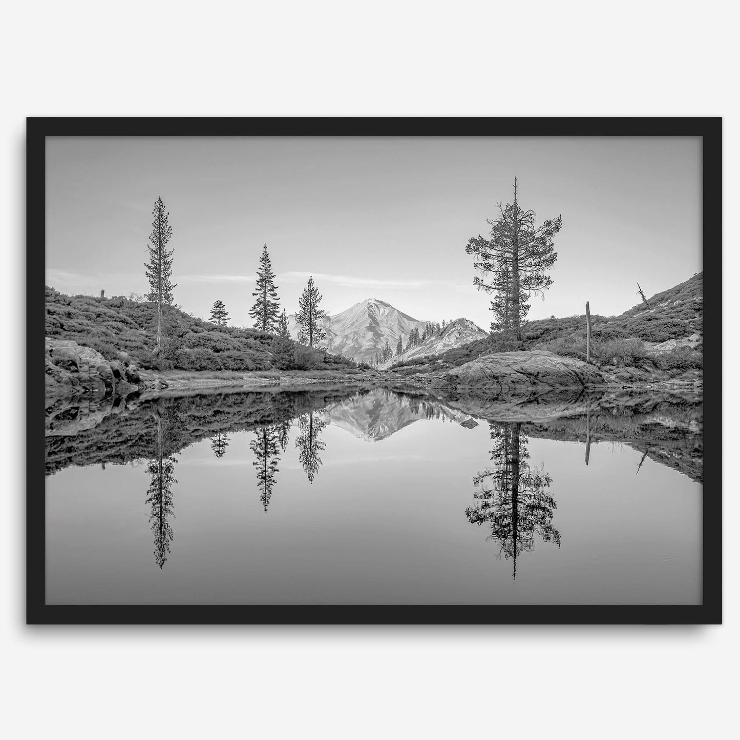 Nature Reflected
