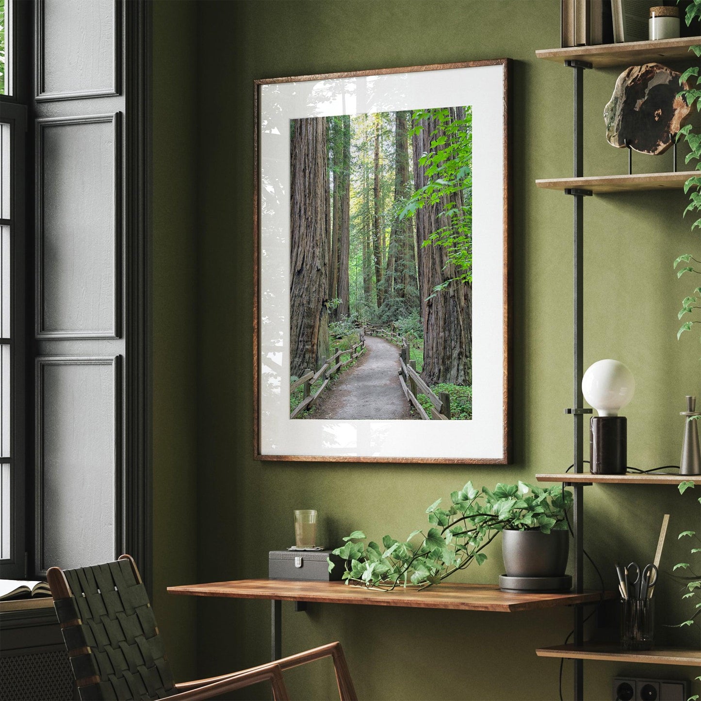 Redwoods
