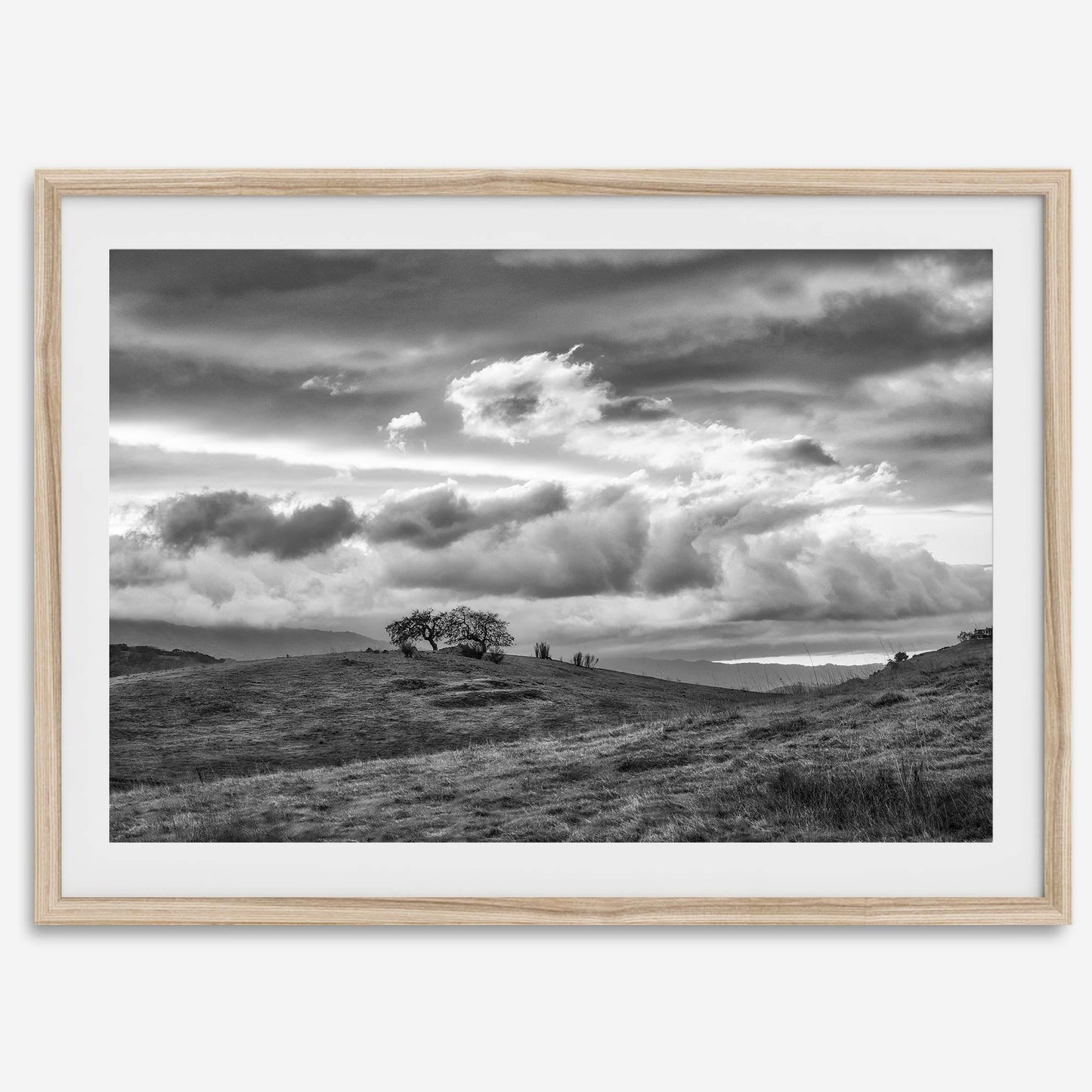Moody Hills B&W