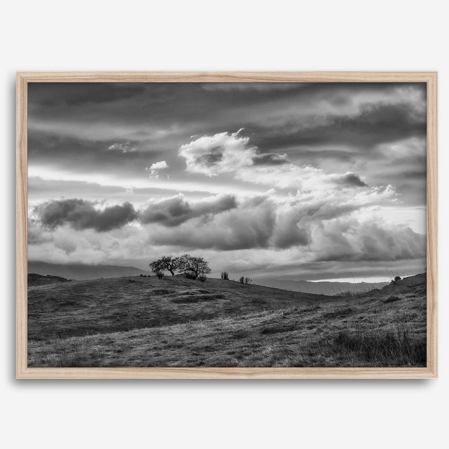 Moody Hills B&W