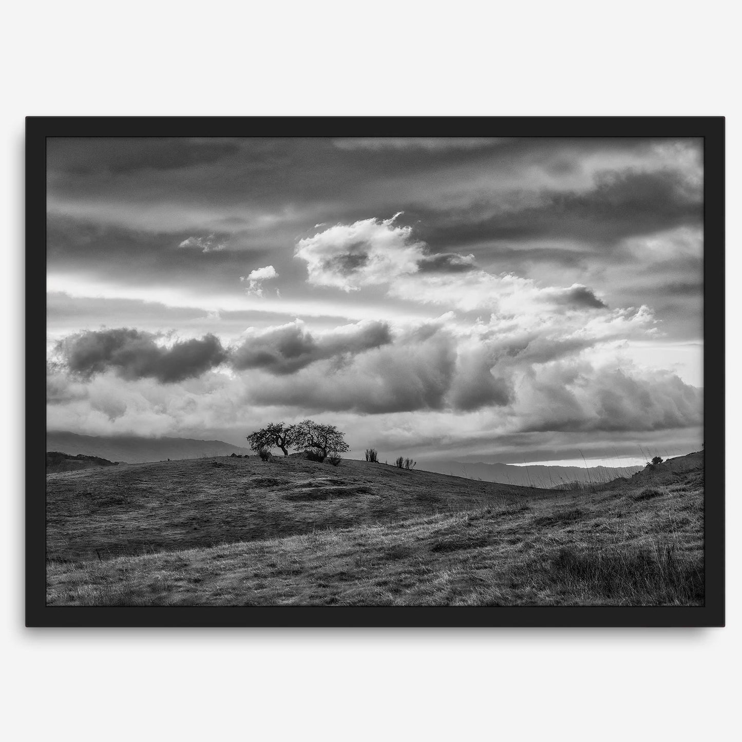 Moody Hills B&W