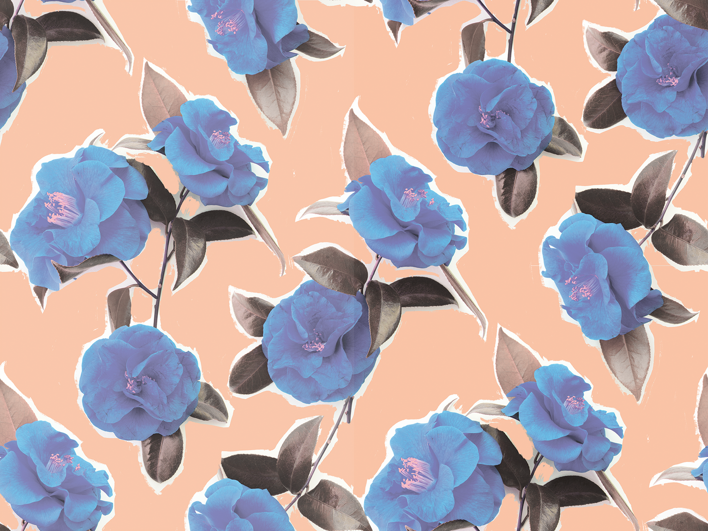 Camellia Wallpaper, cotton candy