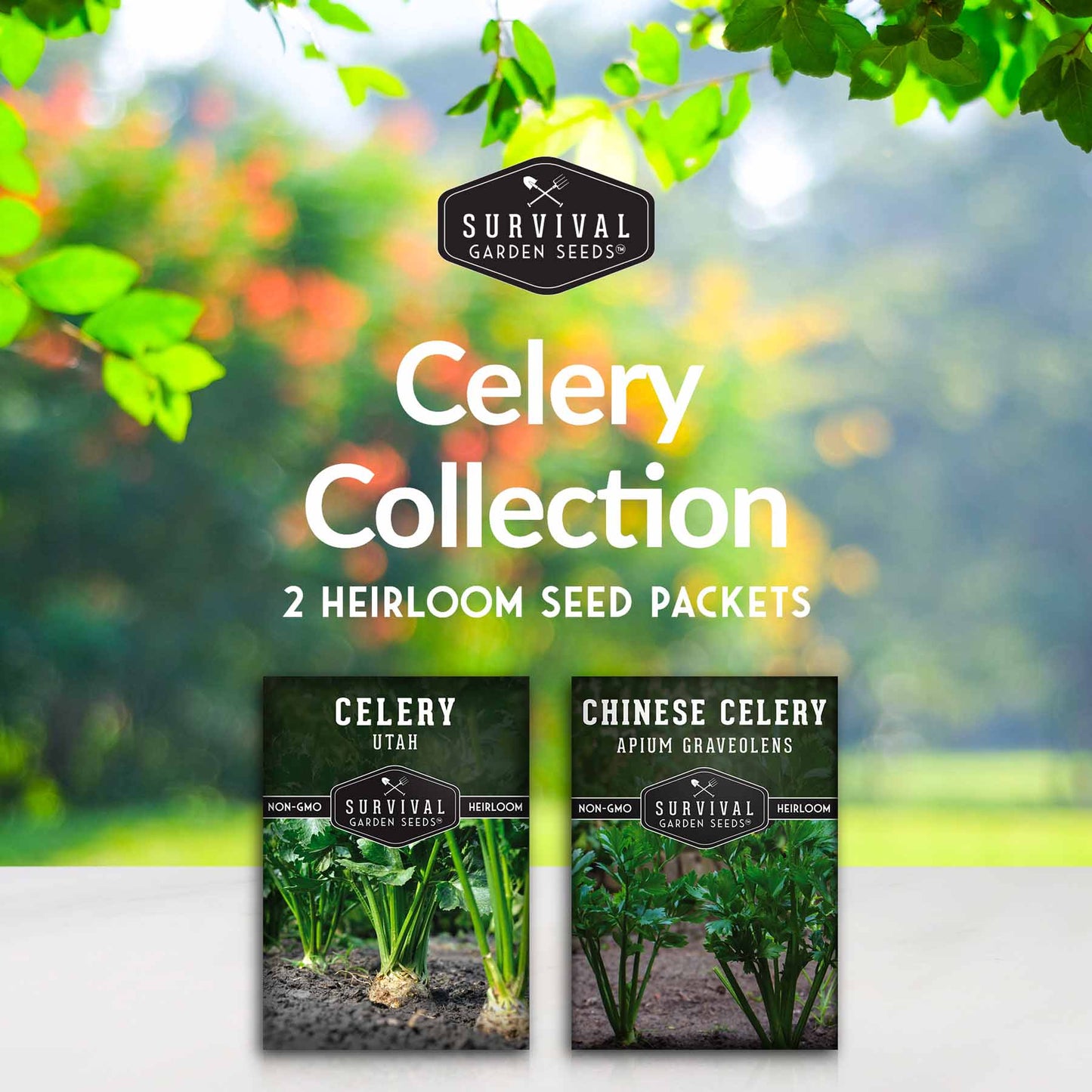 Celery Seed Collection – Utah Celery & Chinese Celery for Flavorful, Productive Gardens