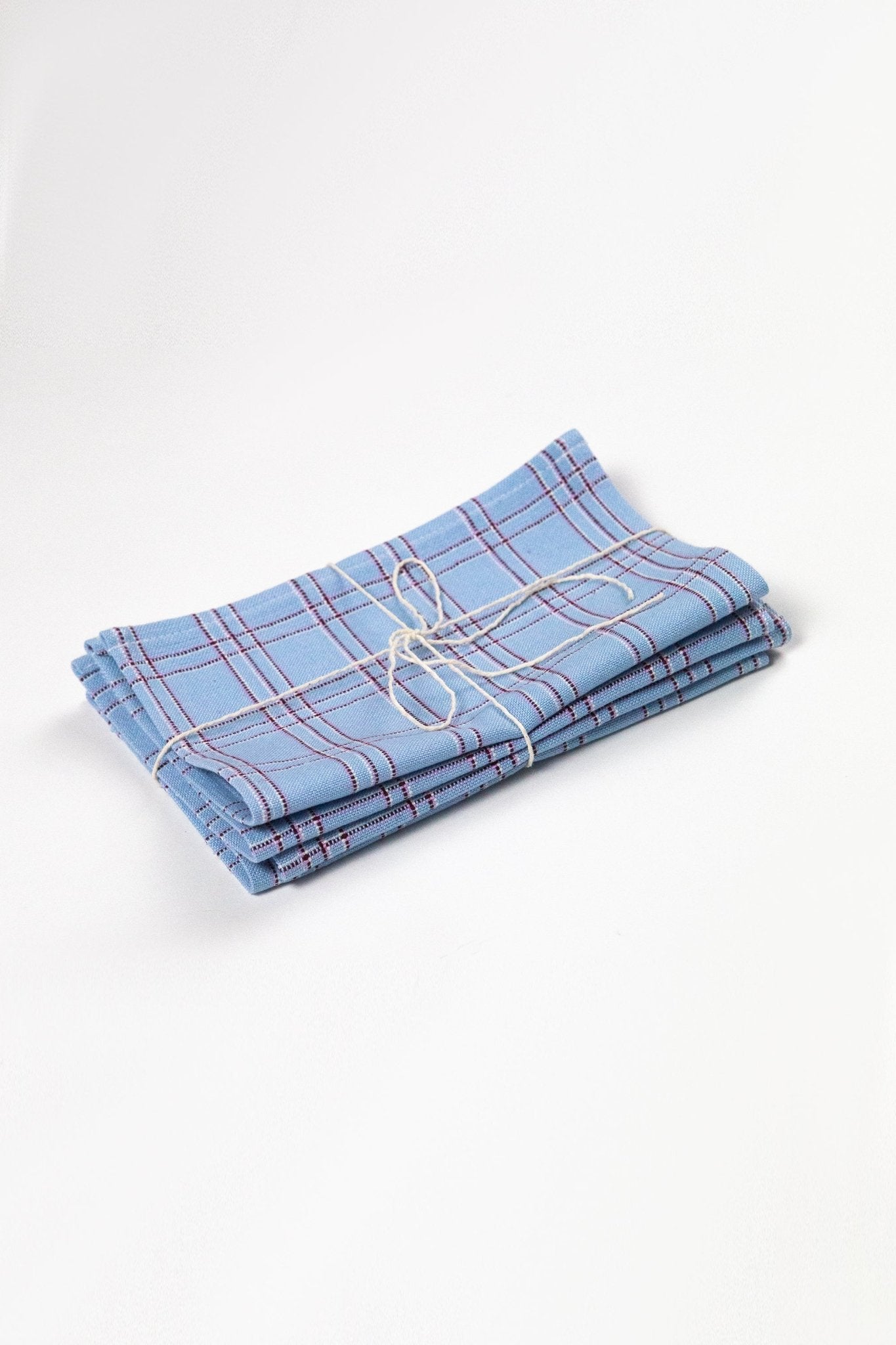 Chiapas Plaid Light Blue Cocktail Napkins Set of 4