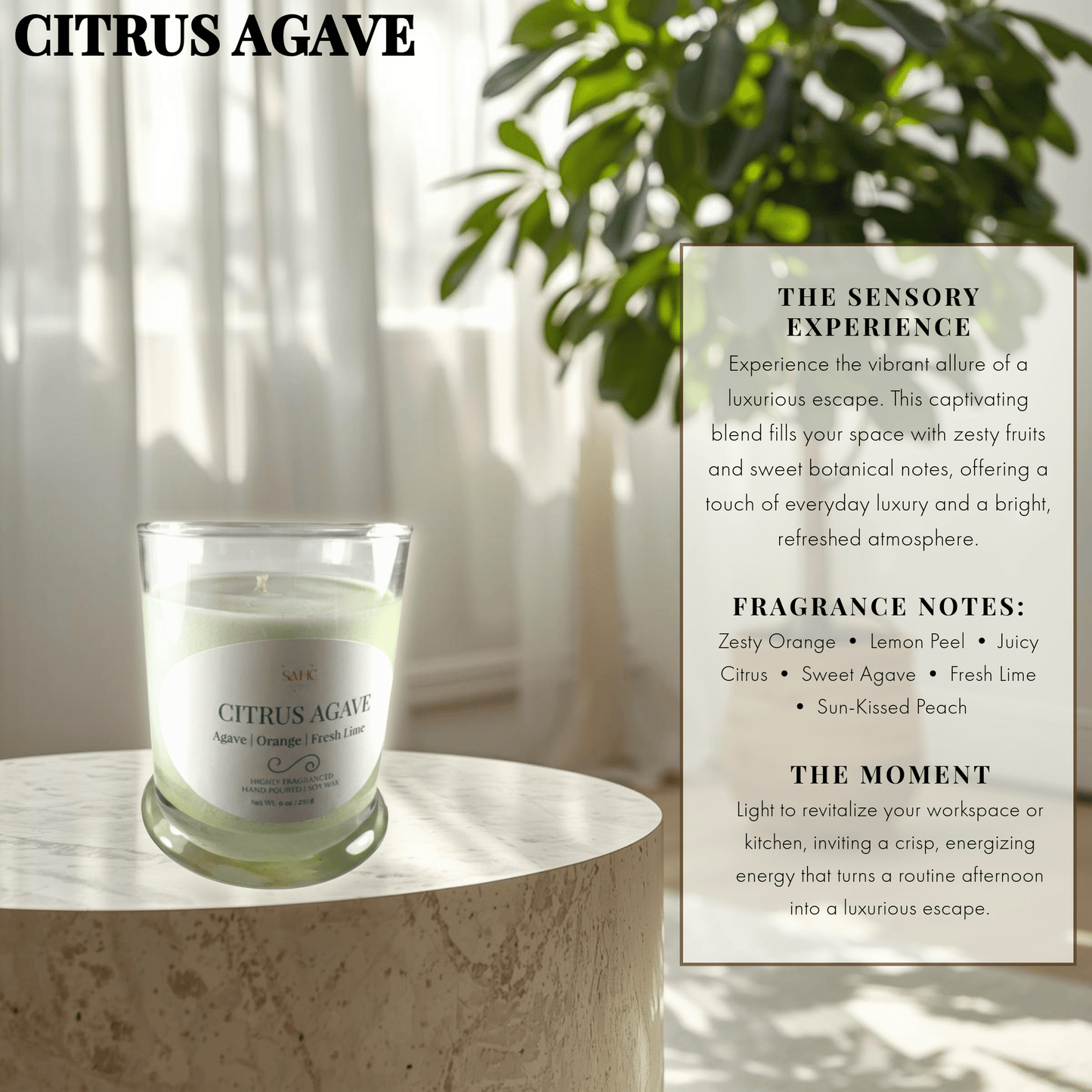 Citrus Agave | Hand-Poured Candle