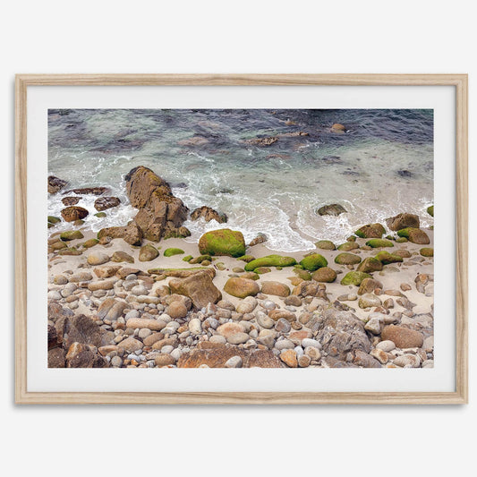 Rocky & Mossy