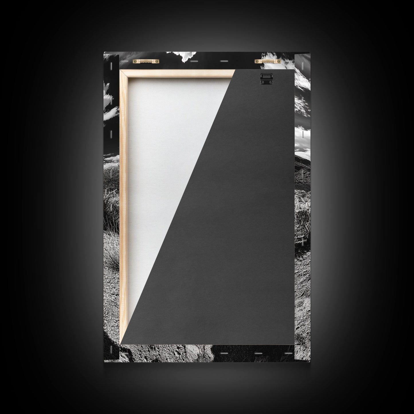 Desert Bloom, Cactus Flower, Bold Nature, Framed Canvas Print, Boho Wall Art, Southwestern Home Decor, Dramatic Desert Photography