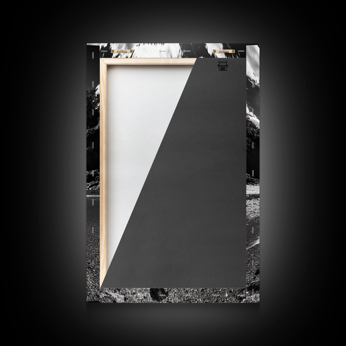 Dragonfly Flight, Beach View, Nature Dream, Framed Canvas Print, Whimsical Wall Art, Surreal Living Room Decor, Black and White Nature Style