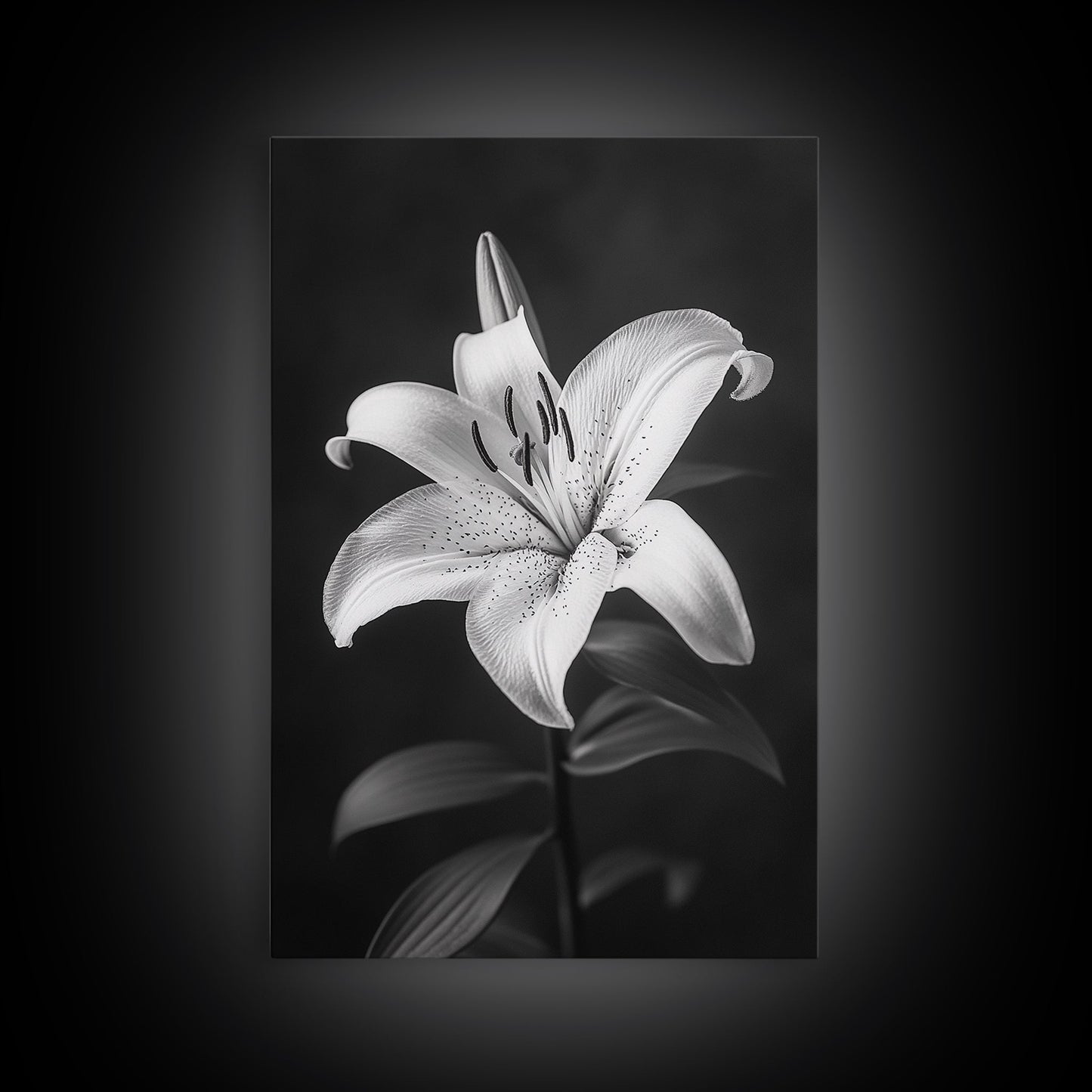 Elegant Lily, Black and White, Floral Beauty, Canvas Print, Botanical Wall Art, Minimalist Art, Bedroom Wall Decor, Nature Photography