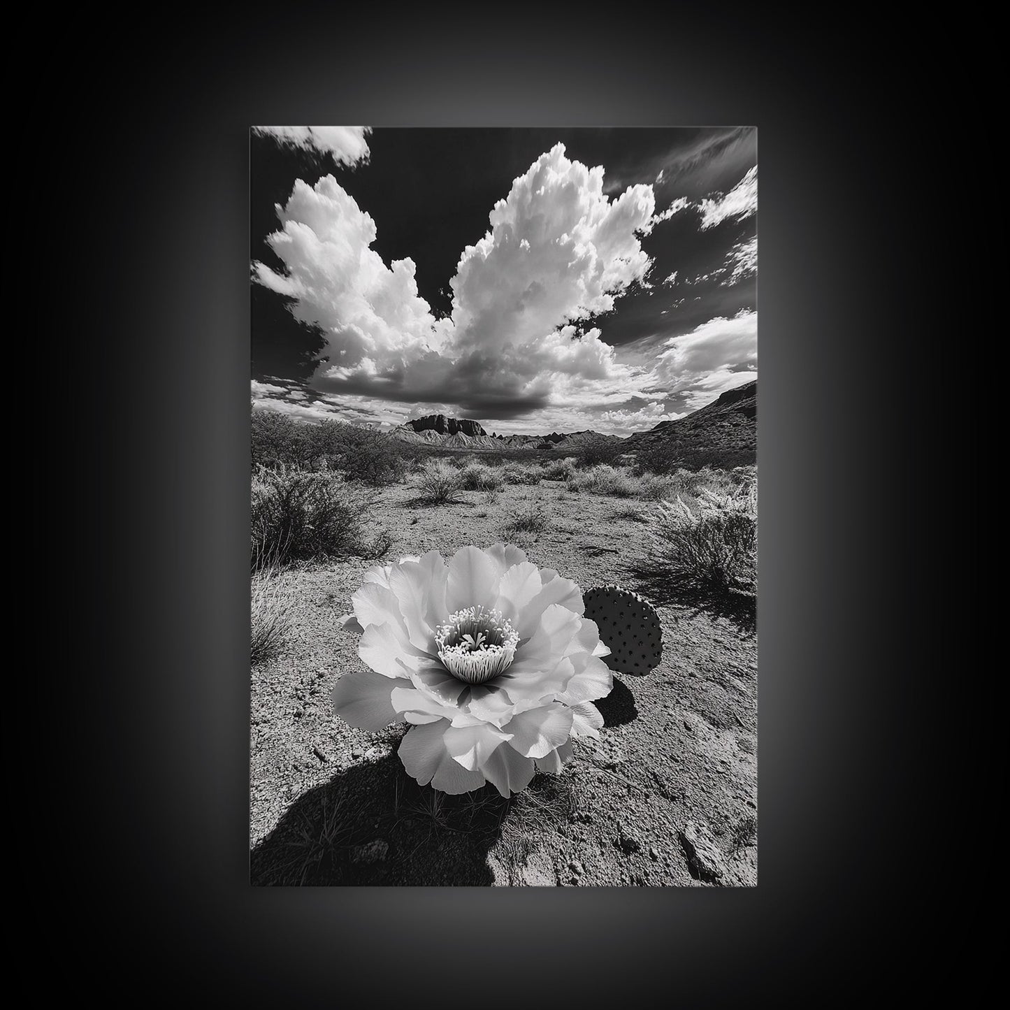 Desert Bloom, Cactus Flower, Bold Nature, Framed Canvas Print, Boho Wall Art, Southwestern Home Decor, Dramatic Desert Photography