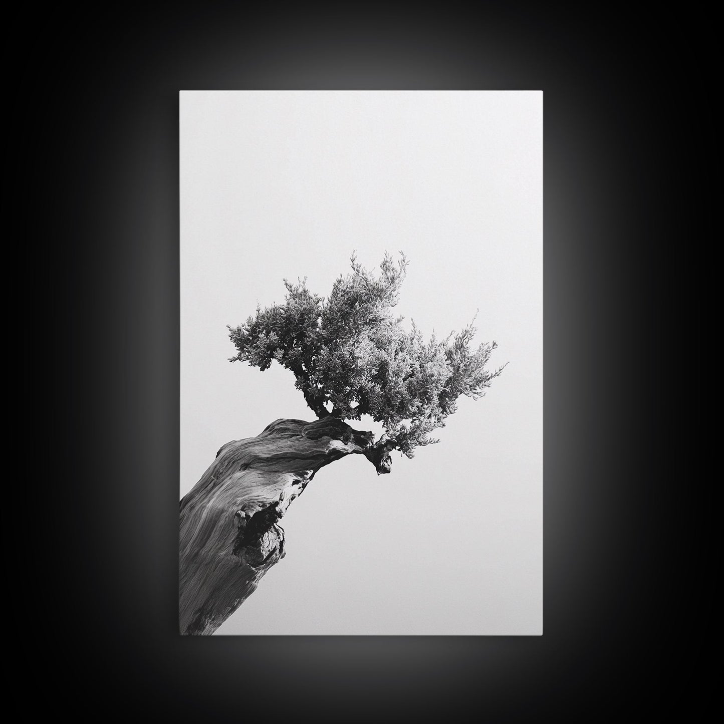 Bonsai Tree, Windswept Wood, Minimal Zen, Canvas Print, Japanese Style Art, Wabi Sabi Decor, Monochrome Botanical Wall Accent