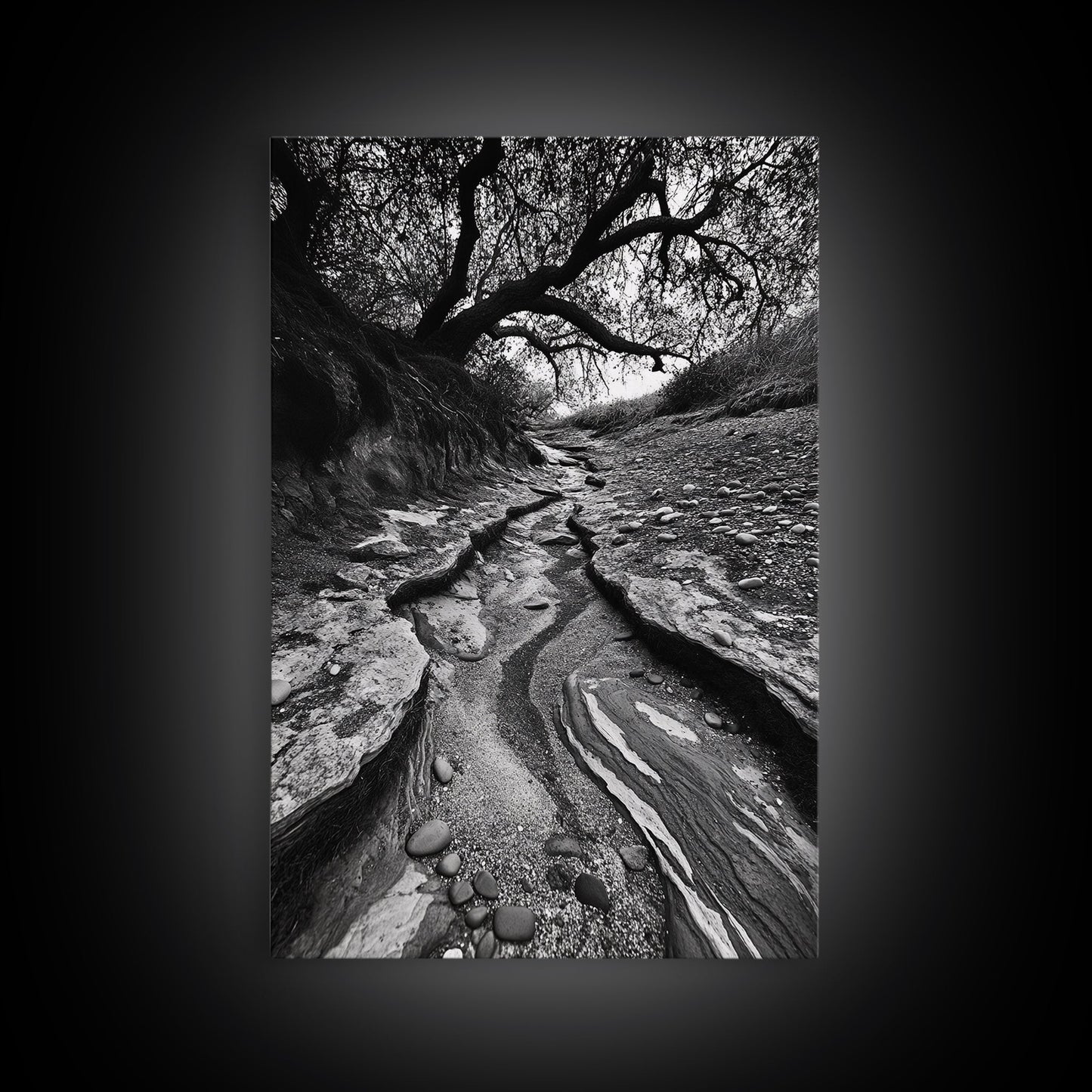 Dry Creek, Twisted Tree, Rocky Path, Framed Canvas Print, Moody Autumn Wall Art, Earthy Entryway Decor, Nature Texture Photography