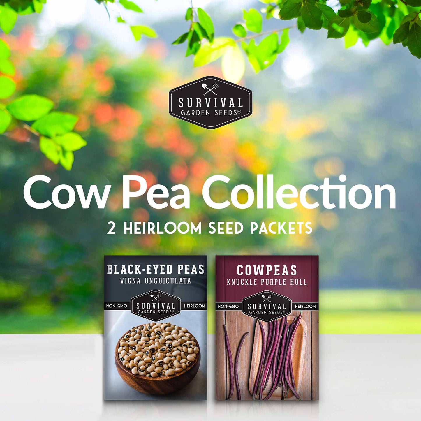 Cowpea Seed Collection – Black-Eyed Peas & Knuckle Purple Hull Cowpeas for Warm-Season, High-Nutrition Gardens