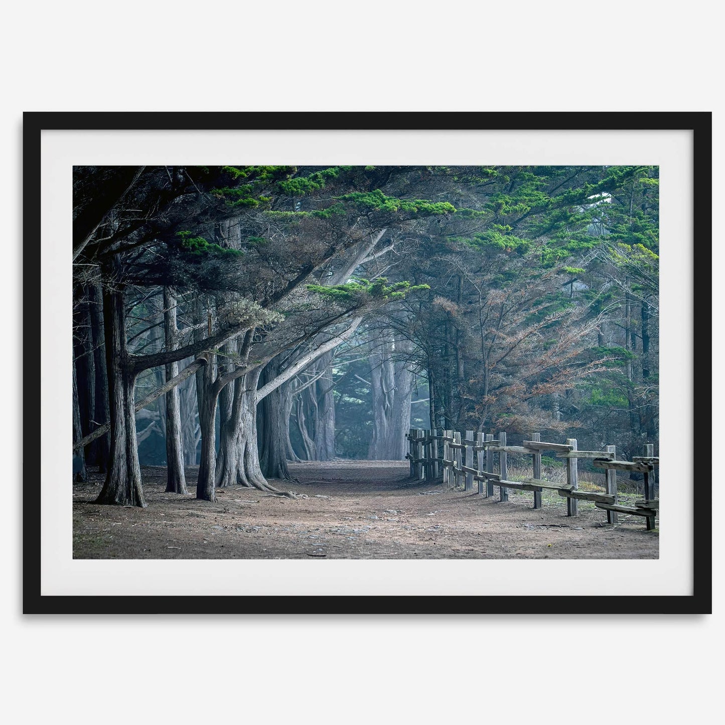 Twilight Grove