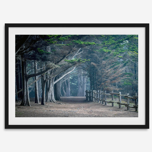Twilight Grove