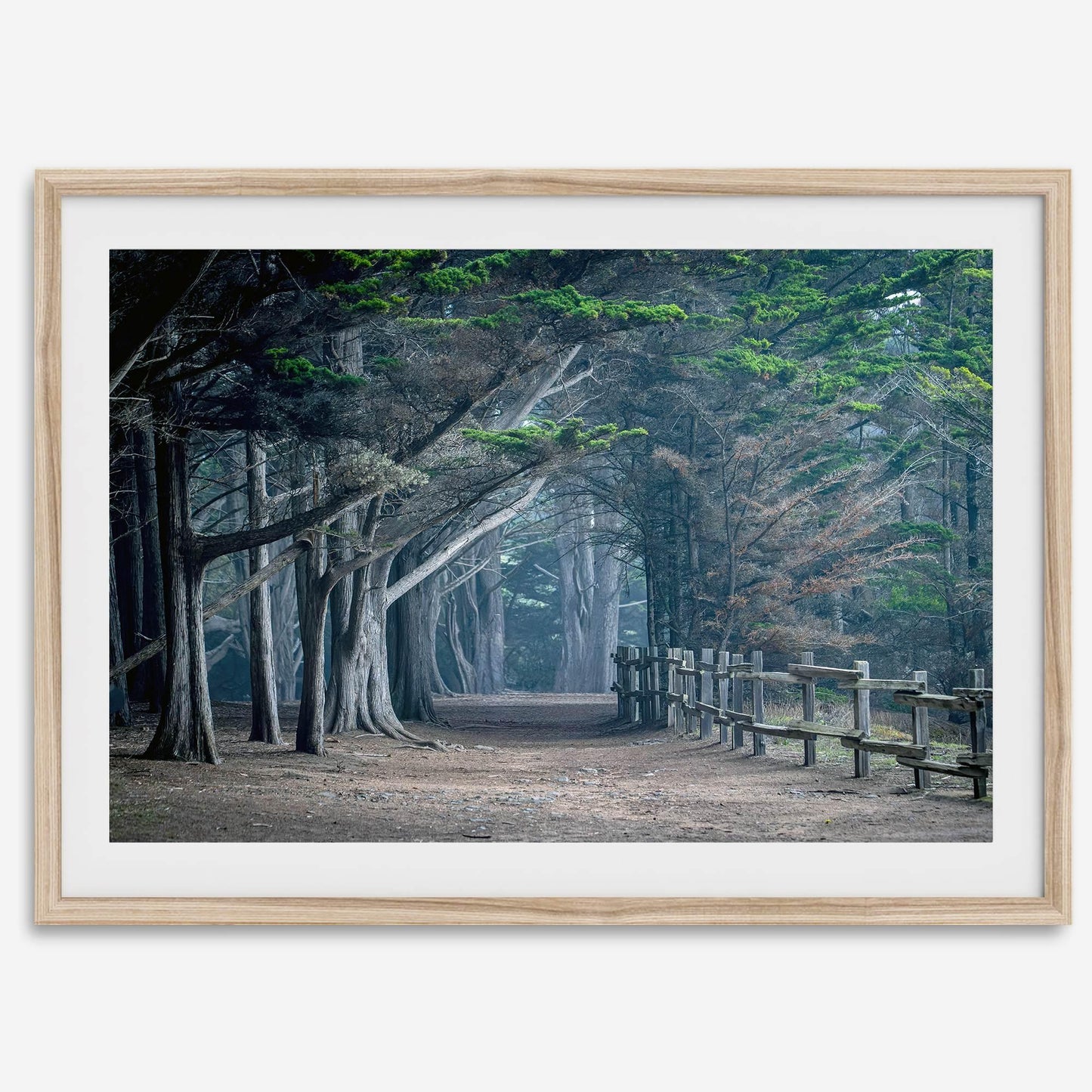 Twilight Grove
