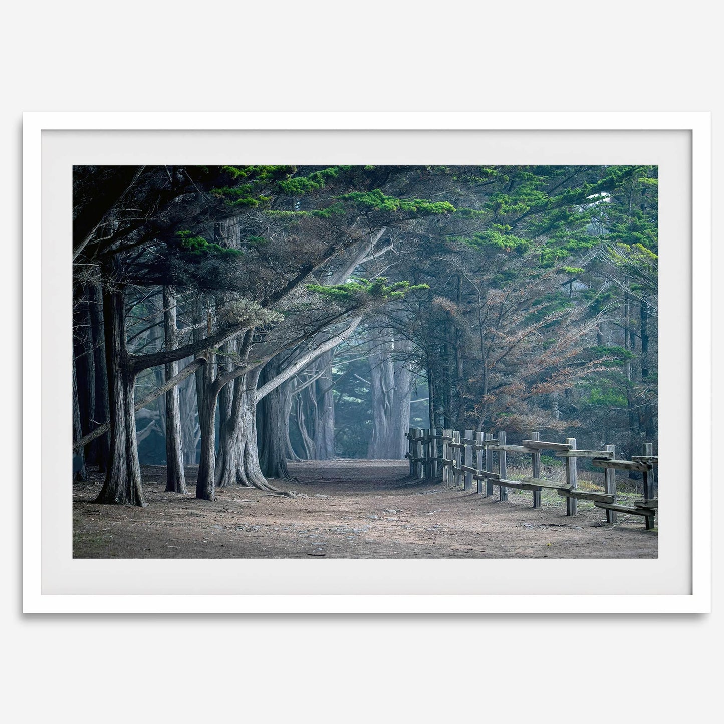 Twilight Grove