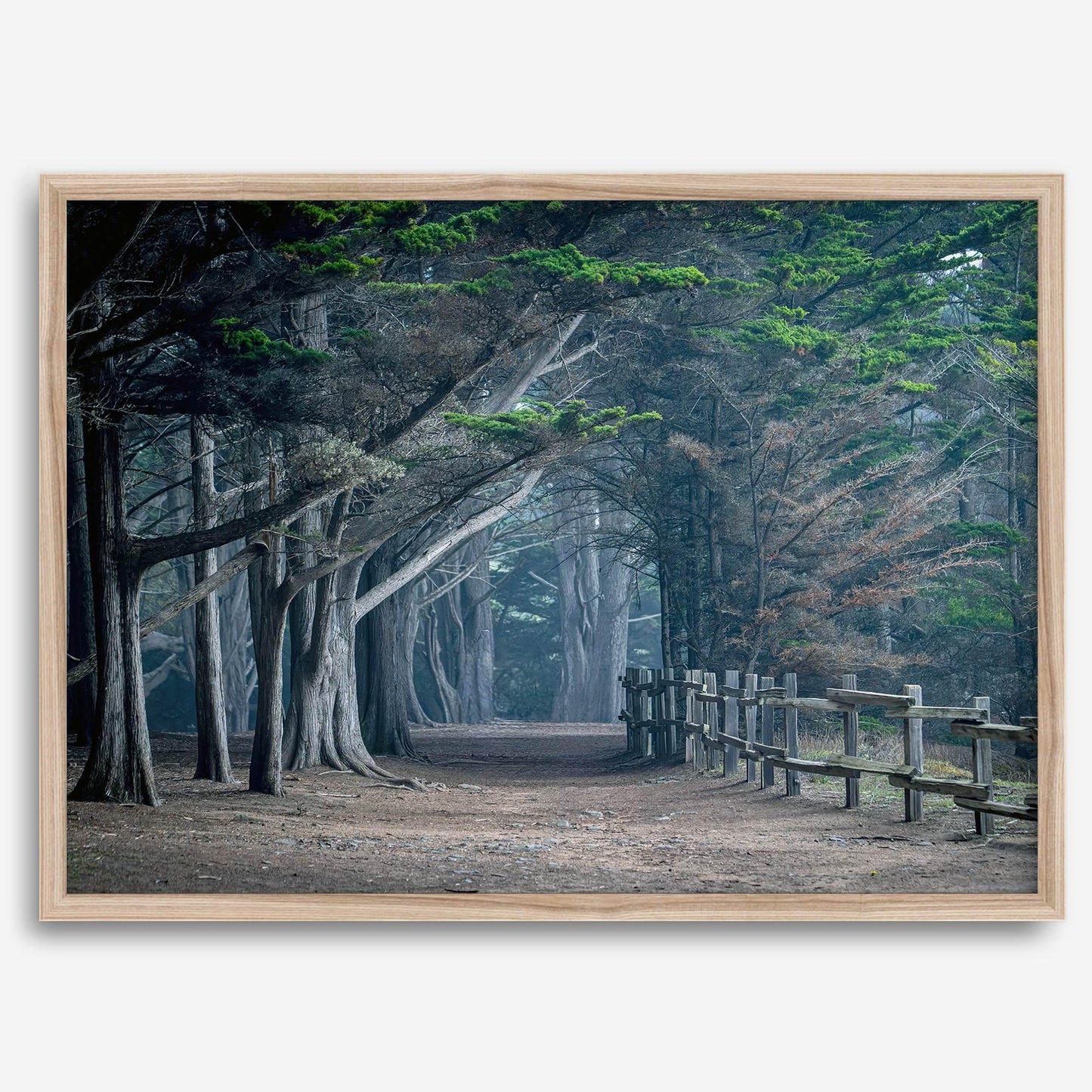 Twilight Grove