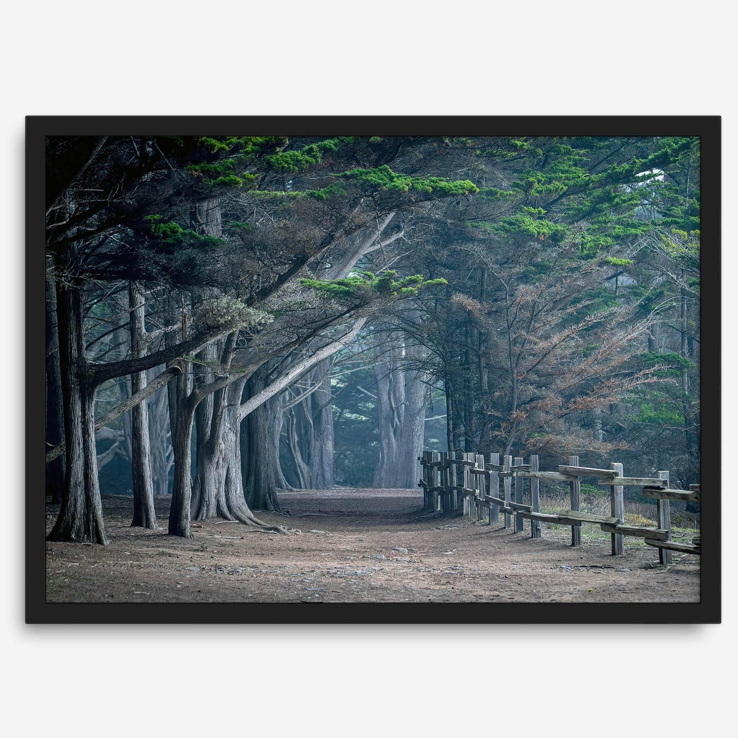 Twilight Grove
