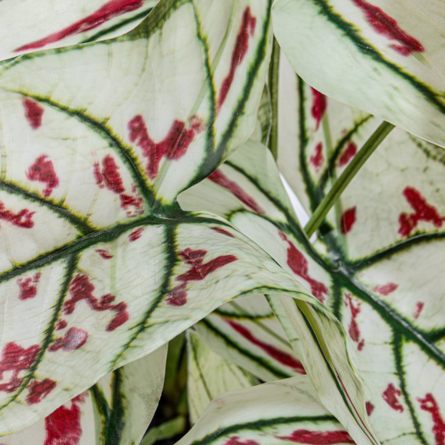 Faux Caladium Elephant Ear Plant in Pot
