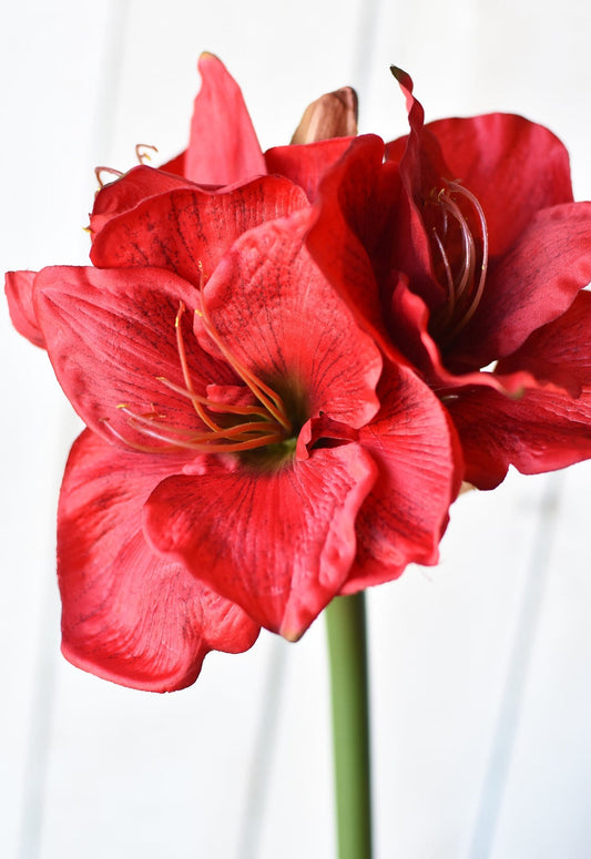 29" Faux Red Amaryllis Stem