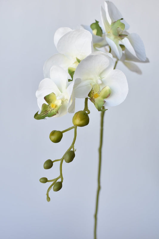 33" Faux White Phalaenopsis Orchid Stem