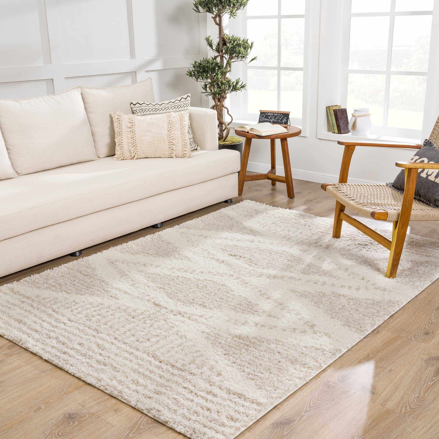 Trunding Plush Area Rug in Light Beige