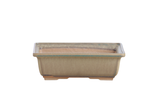 Willow Bonsai Ceramics Rectangle Bonsai Pot 8 Inch – Lower‑Profile Rectangular Ceramic Bonsai & Succulent Planter with Accentuated Rim, High‑Fired Frost‑Proof Stoneware, Handmade in USA (Speckled Moss)