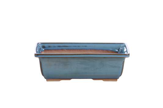 Willow Bonsai Ceramics Rectangle Bonsai Pot 8 Inch – Lower‑Profile Rectangular Ceramic Bonsai & Succulent Planter with Accentuated Rim, High‑Fired Frost‑Proof Stoneware, Handmade in USA (Peacock)