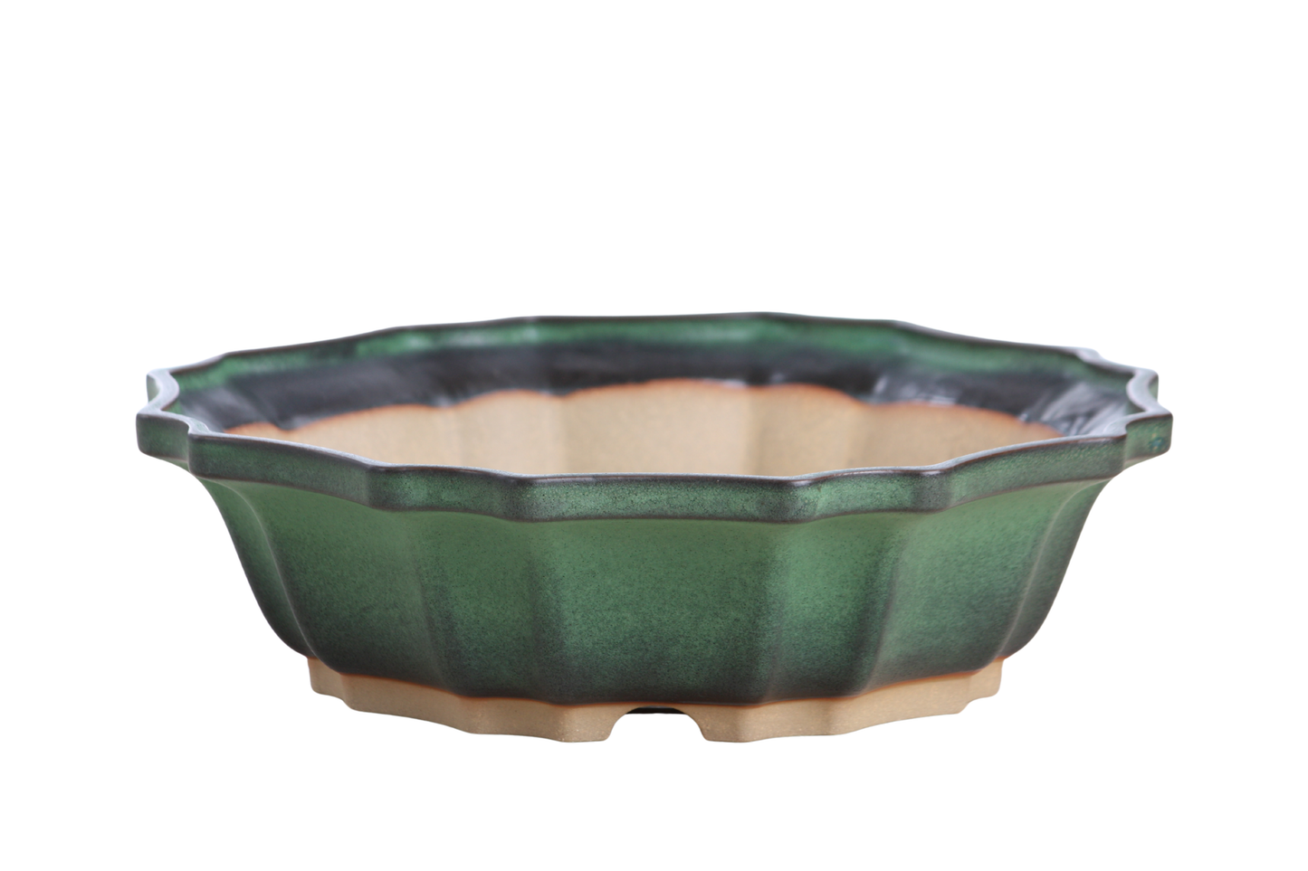 Willow Bonsai Ceramics Flower Design Bonsai Pot 10 Inch – Elegant Ceramic Bonsai & Succulent Planter, High‑Fired Frost‑Proof Stoneware with Drainage & Wiring Holes, Handmade in USA (Avocado)