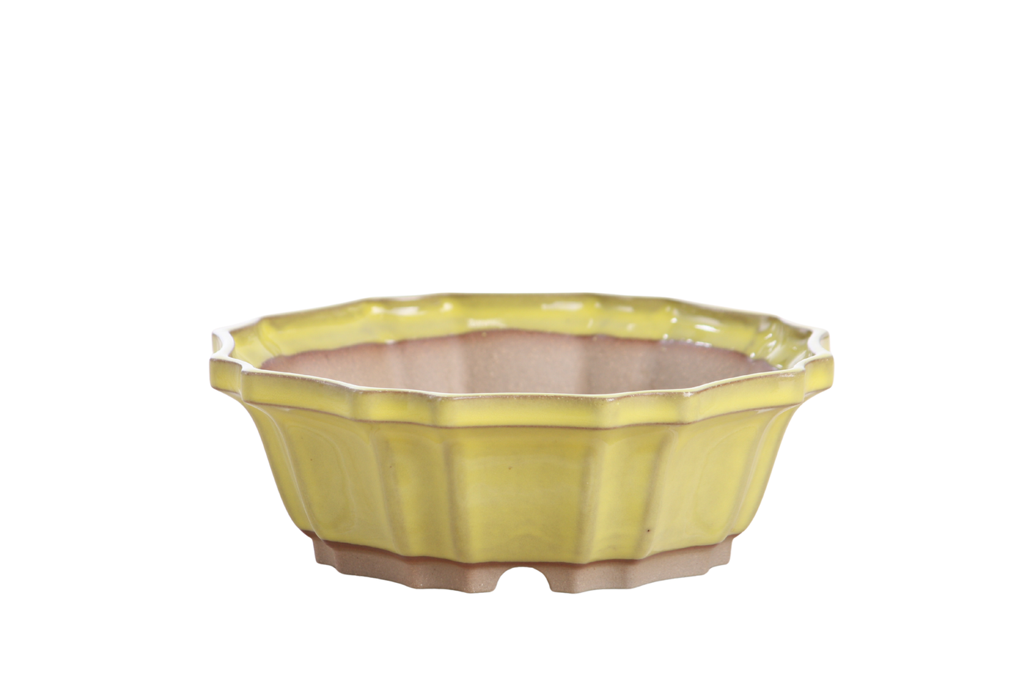 Willow Bonsai Ceramics Flower Design Bonsai Pot 6.5 Inch – Elegant Ceramic Bonsai & Succulent Planter, High‑Fired Frost‑Proof Stoneware with Drainage & Wiring Holes, Handmade in USA (Yellow)