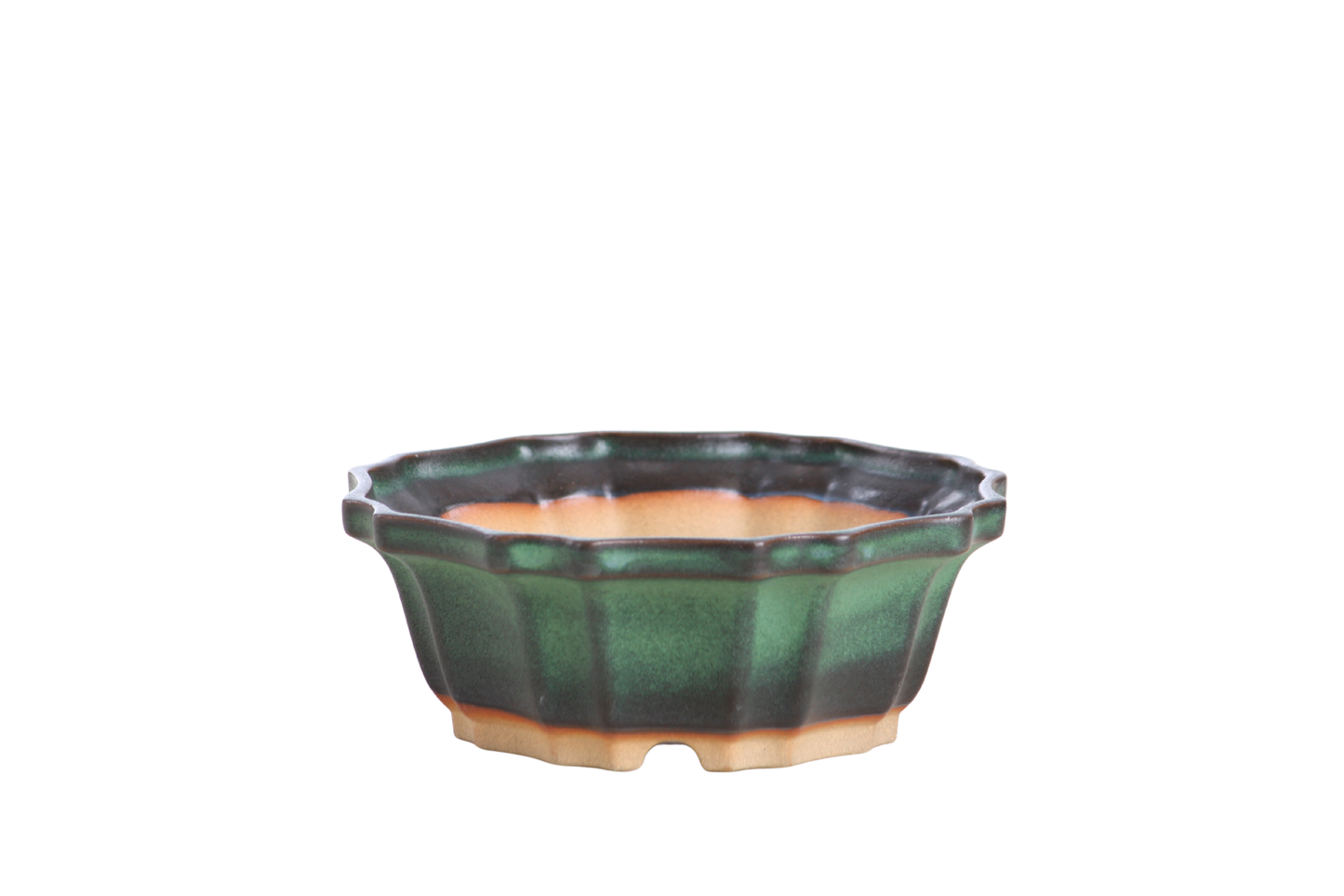 Willow Bonsai Ceramics Flower Design Bonsai Pot 5 Inch – Elegant Ceramic Bonsai & Succulent Planter, High‑Fired Frost‑Proof Stoneware with Drainage & Wiring Holes, Handmade in USA (Avocado)