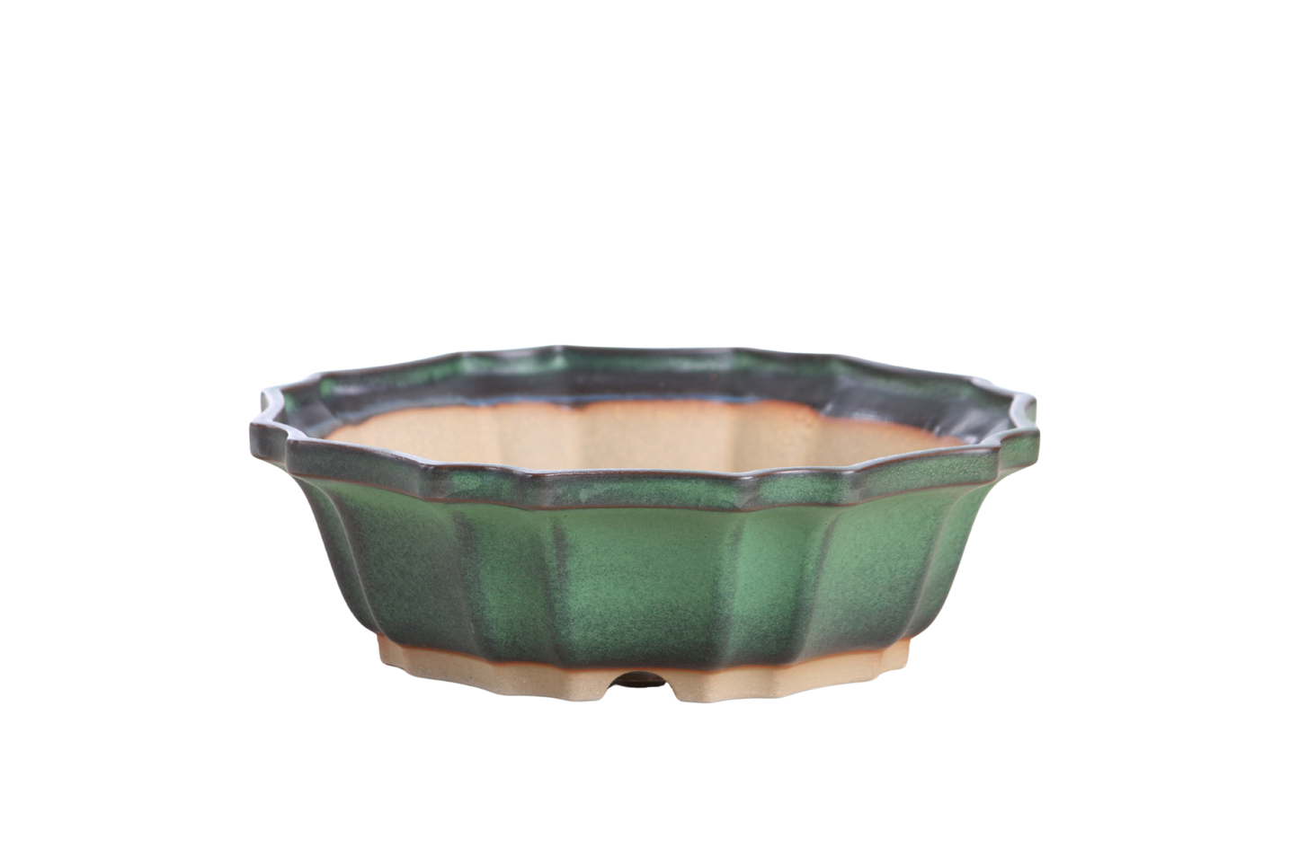 Willow Bonsai Ceramics Flower Design Bonsai Pot 8 Inch – Elegant Ceramic Bonsai & Succulent Planter, High‑Fired Frost‑Proof Stoneware with Drainage & Wiring Holes, Handmade in USA (Avocado)