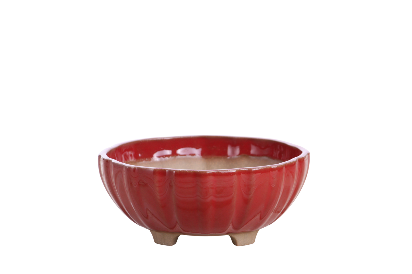 Willow Bonsai Ceramics Lily Bonsai Pot 5.5 Inch – Sculpted Rounded Ceramic Bonsai & Succulent Planter with Wavy Profile, High‑Fired Frost‑Proof Stoneware, Handmade in USA (Red)