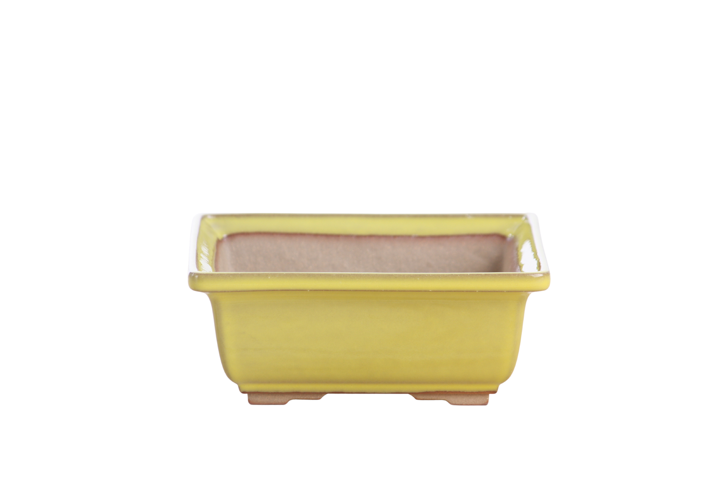 Willow Bonsai Ceramics Square Bonsai Pot 5.5 Inch – Low‑Profile Square Ceramic Bonsai & Succulent Planter with Accentuated Rim, High‑Fired Frost‑Proof Stoneware, Handmade in USA (Yellow)