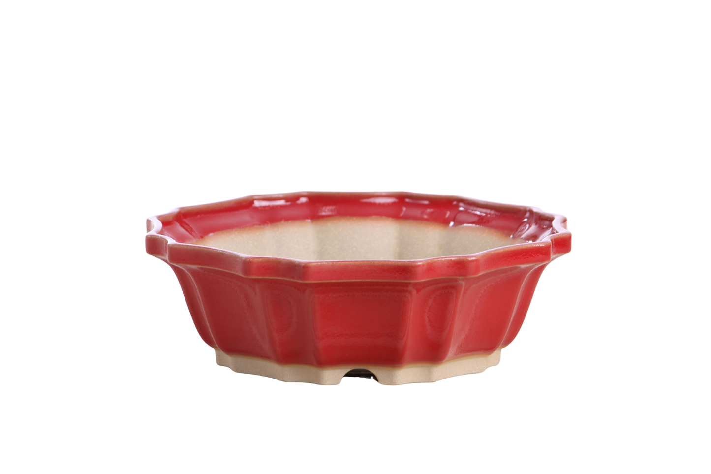 Willow Bonsai Ceramics Flower Design Bonsai Pot 8 Inch – Elegant Ceramic Bonsai & Succulent Planter, High‑Fired Frost‑Proof Stoneware with Drainage & Wiring Holes, Handmade in USA (Red)
