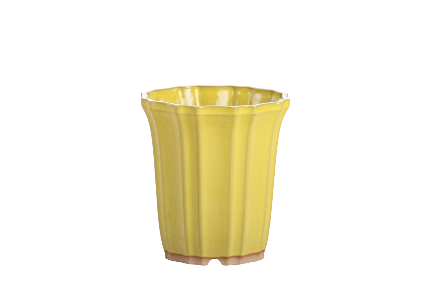 Willow Bonsai Ceramics Flower Design Cascade Bonsai Pot 4.5 Inch – Elegant Tall Ceramic Bonsai & Succulent Planter, High‑Fired Frost‑Proof Stoneware with Drainage & Wiring Holes, Handmade in USA (Yellow)