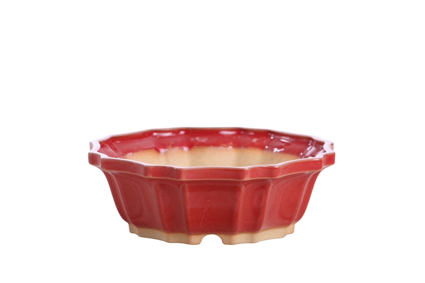 Willow Bonsai Ceramics Flower Design Bonsai Pot 6.5 Inch – Elegant Ceramic Bonsai & Succulent Planter, High‑Fired Frost‑Proof Stoneware with Drainage & Wiring Holes, Handmade in USA (Red)