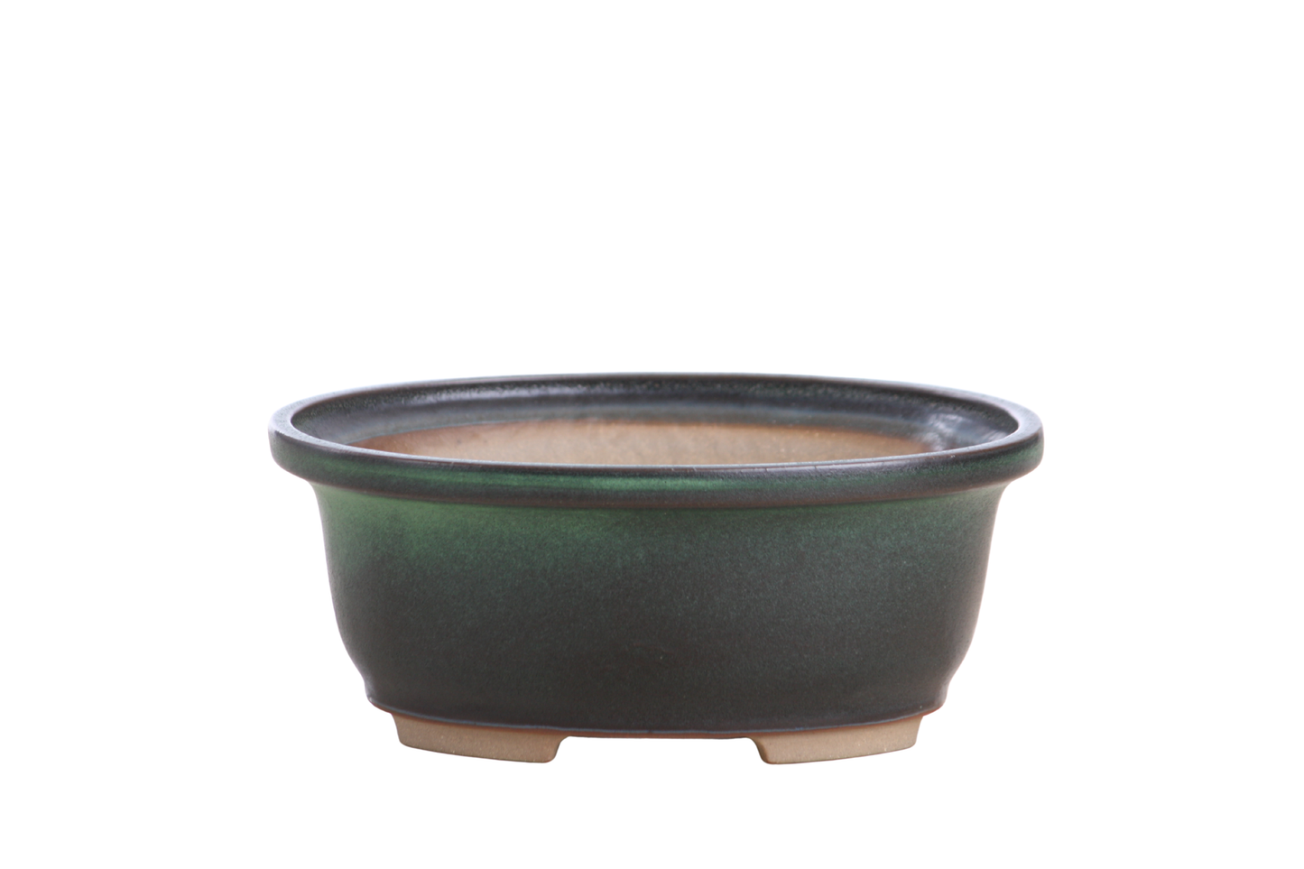 Willow Bonsai Ceramics Fat Bonsai Pot 6.5 Inch – Bold Oval Ceramic Bonsai & Succulent Planter with Accentuated Rim, High‑Fired Frost‑Proof Stoneware, Handmade in USA (Avocado)