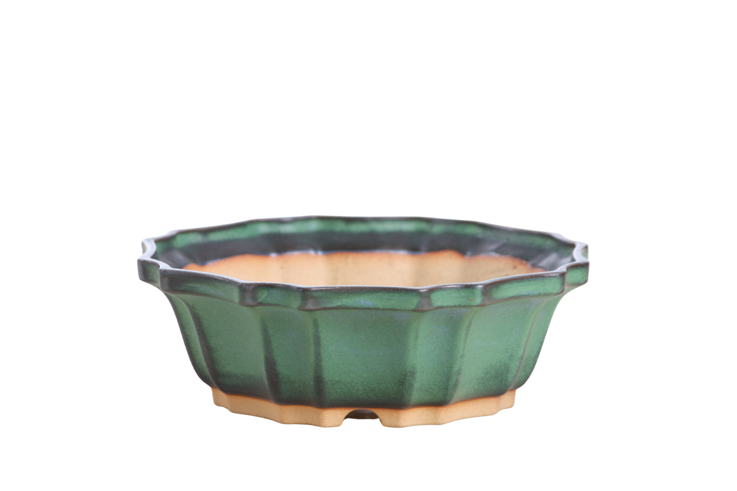 Willow Bonsai Ceramics Flower Design Bonsai Pot 6.5 Inch – Elegant Ceramic Bonsai & Succulent Planter, High‑Fired Frost‑Proof Stoneware with Drainage & Wiring Holes, Handmade in USA (Avocado)
