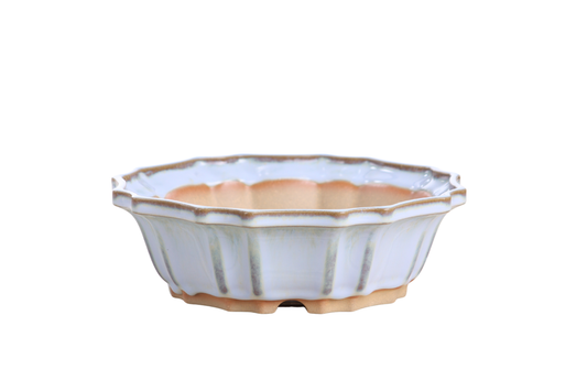 Willow Bonsai Ceramics Flower Design Bonsai Pot 8 Inch – Elegant Ceramic Bonsai & Succulent Planter, High‑Fired Frost‑Proof Stoneware with Drainage & Wiring Holes, Handmade in USA (Glacier)