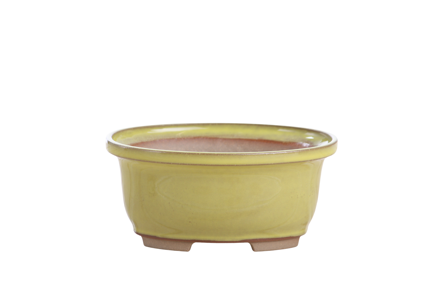 Willow Bonsai Ceramics Fat Bonsai Pot 5.5 Inch – Bold Oval Ceramic Bonsai & Succulent Planter with Accentuated Rim, High‑Fired Frost‑Proof Stoneware, Handmade in USA (Yellow)