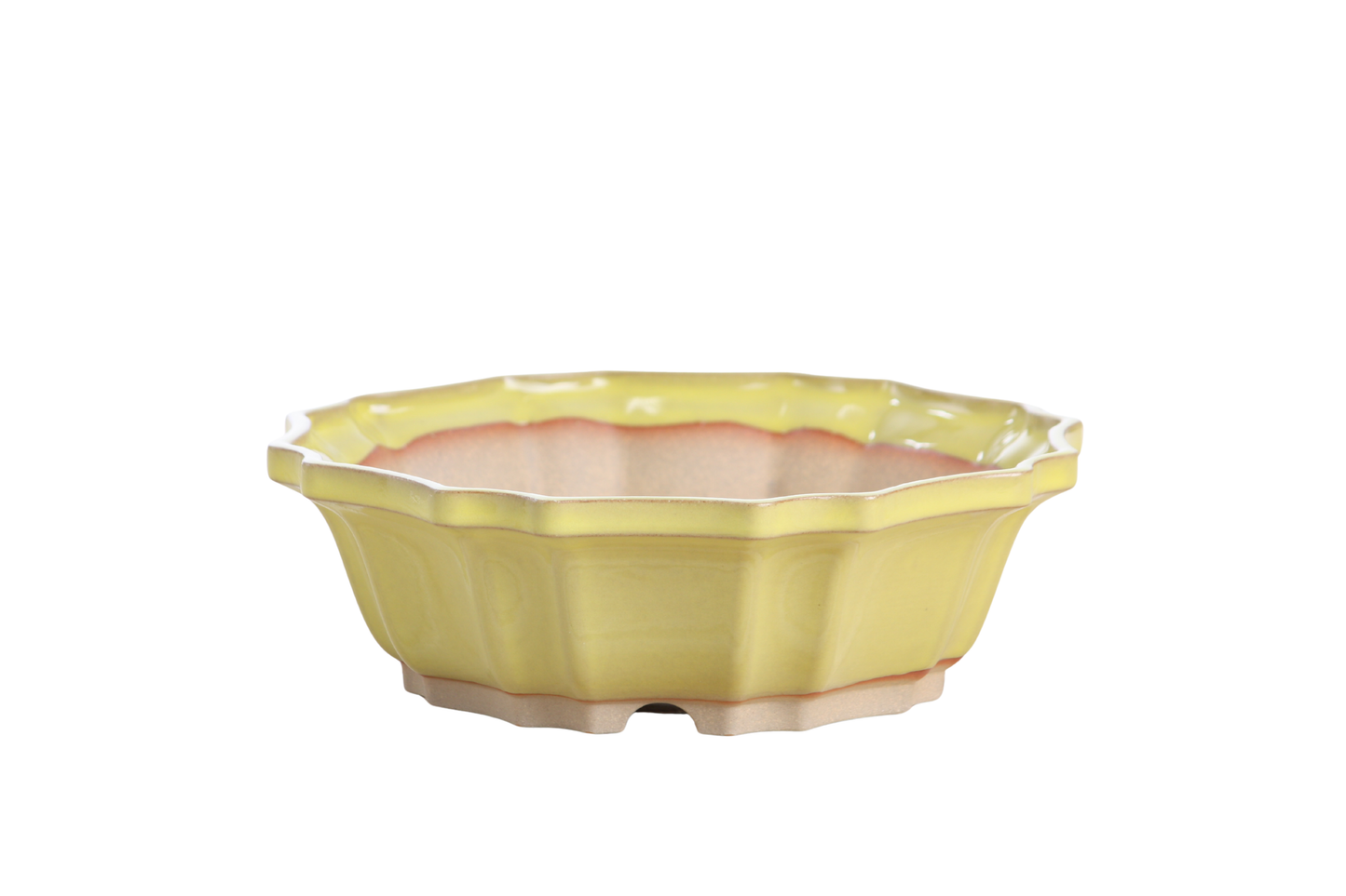Willow Bonsai Ceramics Flower Design Bonsai Pot 8 Inch – Elegant Ceramic Bonsai & Succulent Planter, High‑Fired Frost‑Proof Stoneware with Drainage & Wiring Holes, Handmade in USA (Yellow)