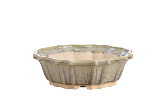 Willow Bonsai Ceramics Flower Design Bonsai Pot 8 Inch – Elegant Ceramic Bonsai & Succulent Planter, High‑Fired Frost‑Proof Stoneware with Drainage & Wiring Holes, Handmade in USA (Copenhagen)