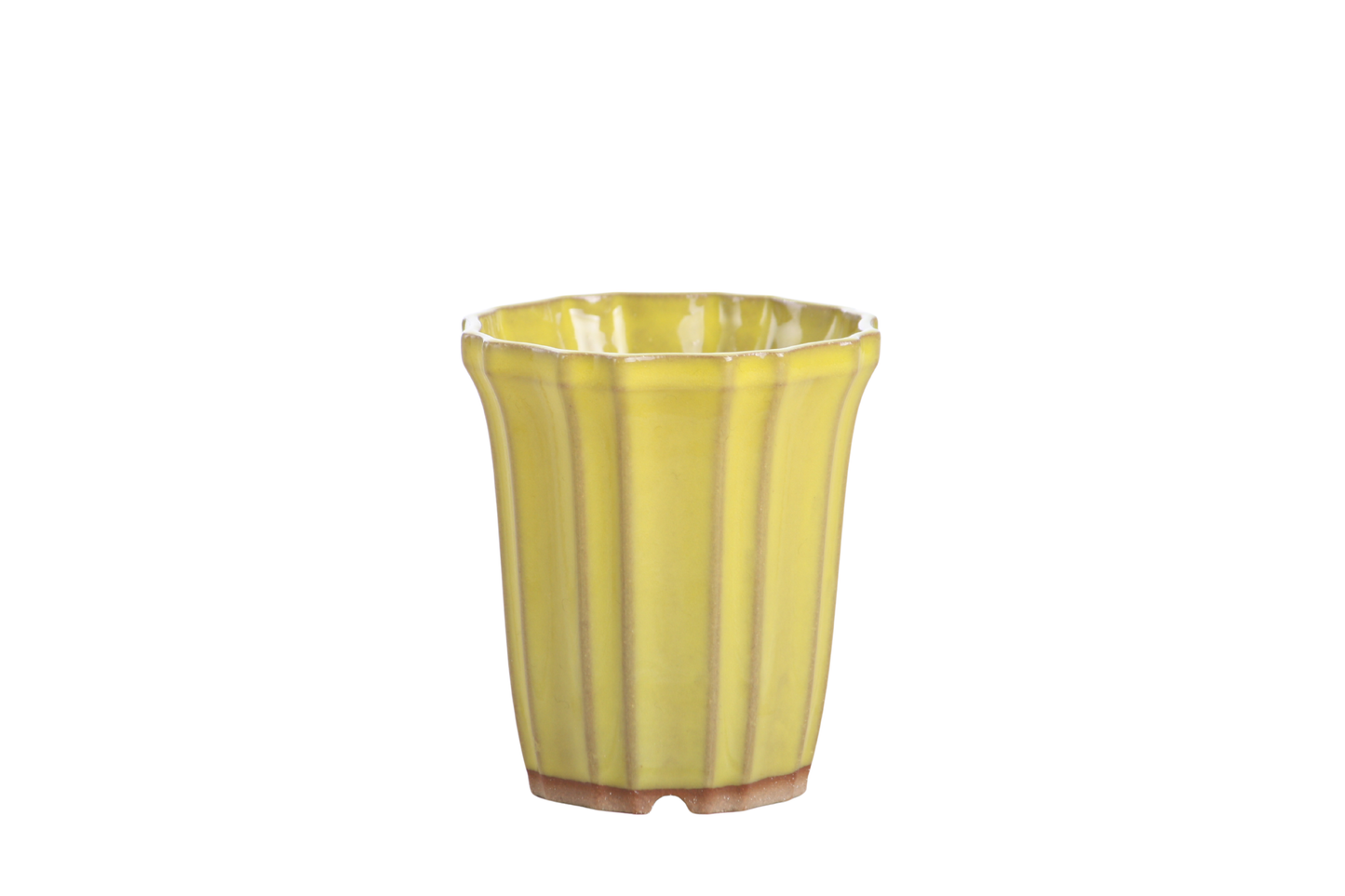 Willow Bonsai Ceramics Flower Design Cascade Bonsai Pot 3 Inch – Elegant Tall Ceramic Bonsai & Succulent Planter, High‑Fired Frost‑Proof Stoneware with Drainage & Wiring Holes, Handmade in USA (Yellow)