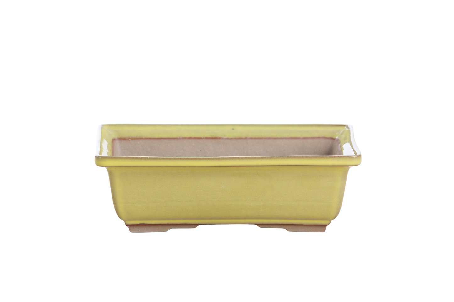 Willow Bonsai Ceramics Rectangle Bonsai Pot 8 Inch – Lower‑Profile Rectangular Ceramic Bonsai & Succulent Planter with Accentuated Rim, High‑Fired Frost‑Proof Stoneware, Handmade in USA (Yellow)